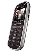 Best available price of Motorola WX288 in Venezuela