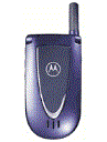 Best available price of Motorola V66i in Venezuela